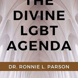 The Divine LGBT Agenda: Being a Believable Believer in a Post-Truth World (Let God Be True (LGBT) Book 1)